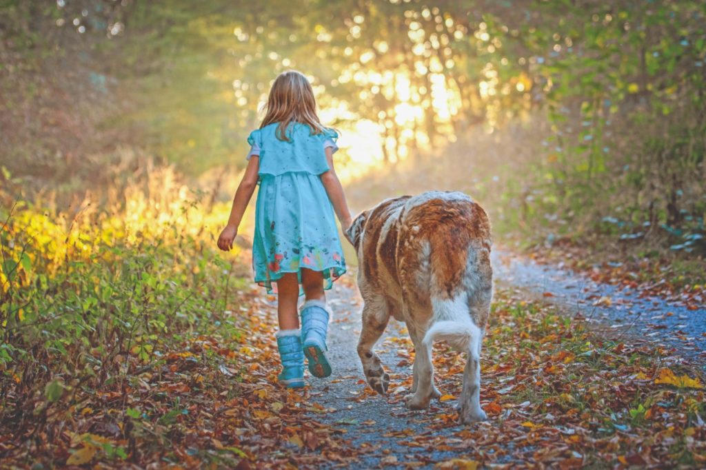 Campi estivi e “Outdoor Education”