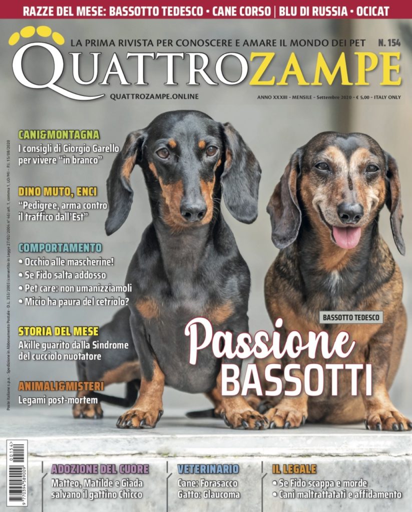 È in edicola il numero di settembre 2020 di Quattrozampe