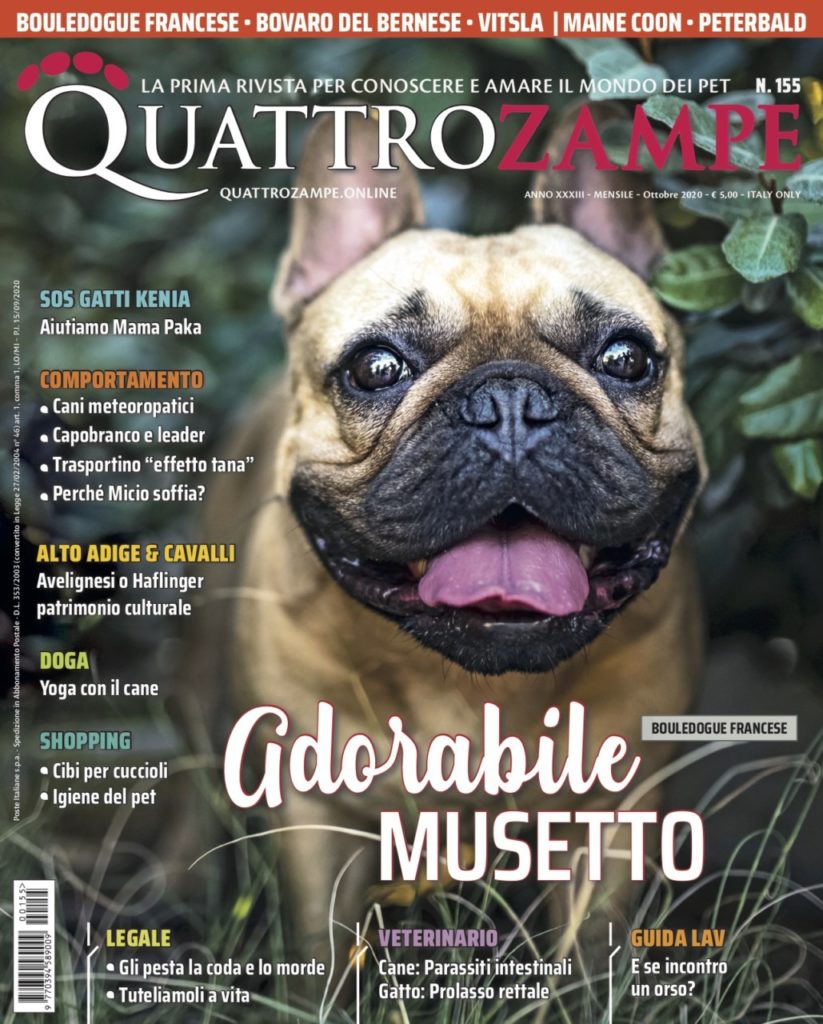 È in edicola il numero di ottobre 2020 di Quattrozampe