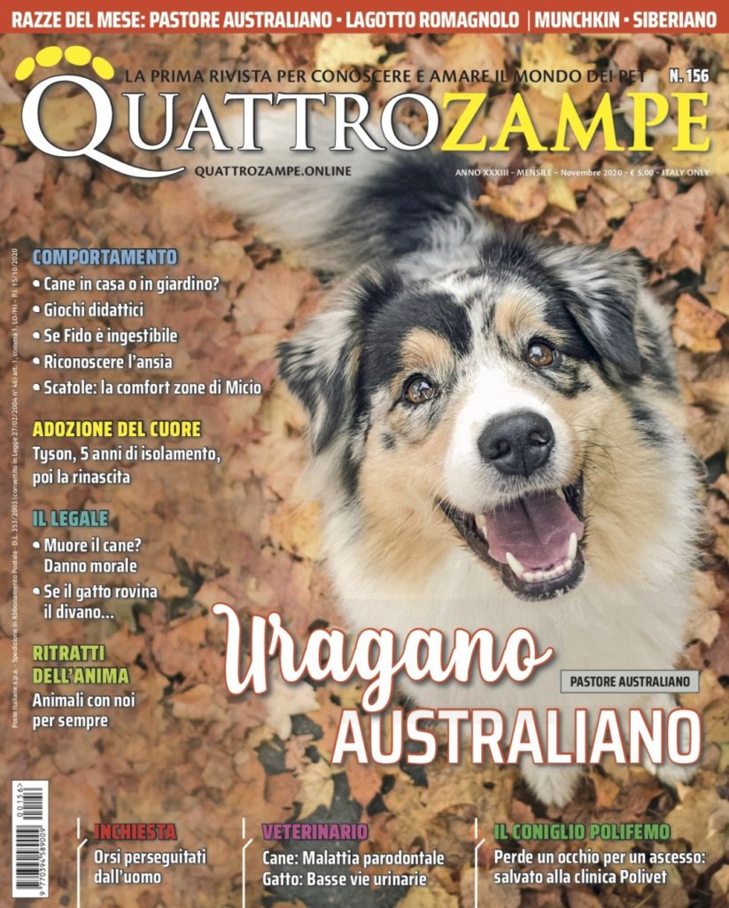 È in edicola il numero di novembre 2020 di Quattrozampe