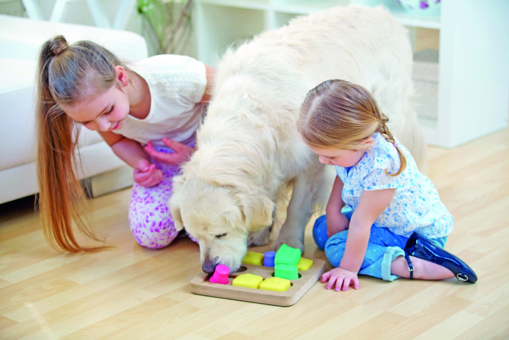 Giochiamo con Fido in casa o fuori?