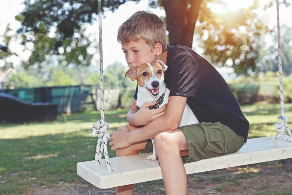 Muore il cane? È un danno morale