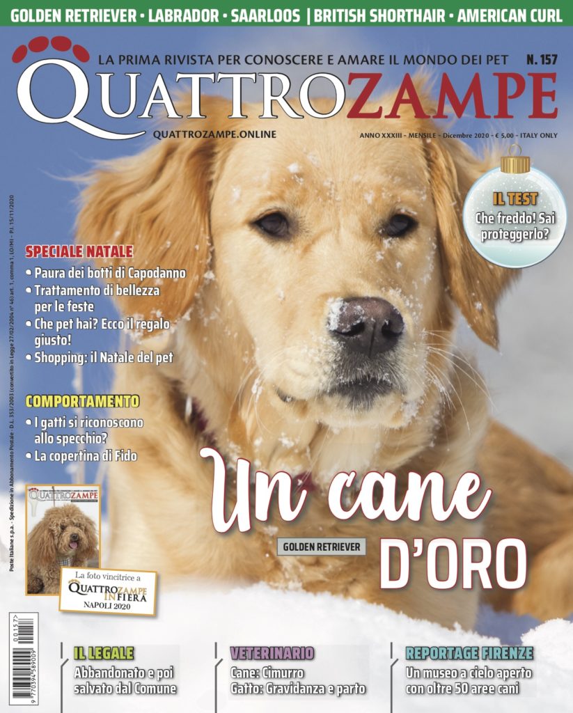 È in edicola il numero di dicembre 2020 di Quattrozampe