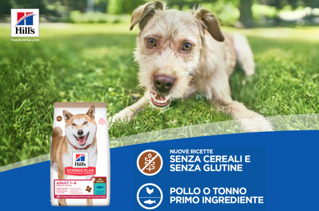 Cane, il benessere parte dall’alimentazione