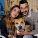 myqz-2019-torino225