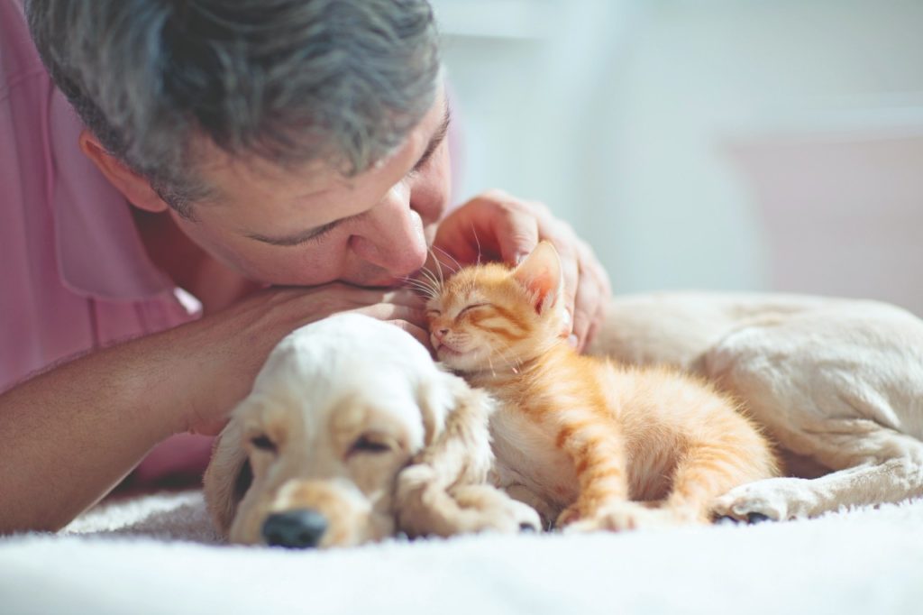 L'amore per gli animali