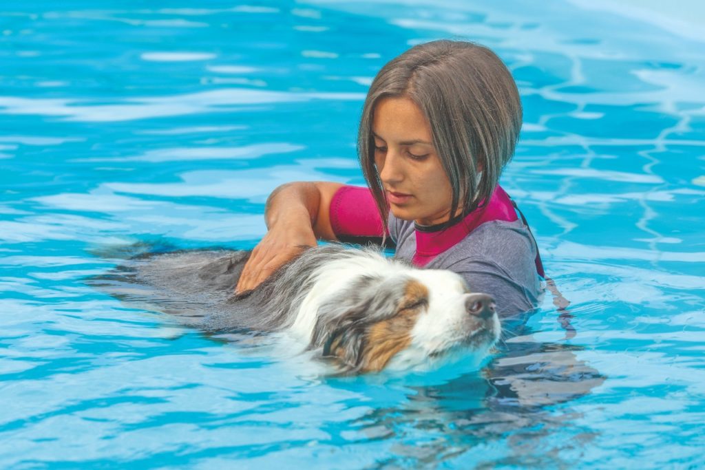 Pet-massaggio in acqua