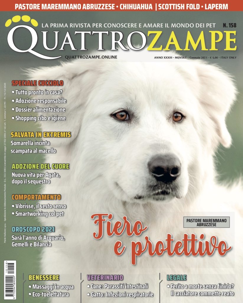 È in edicola il numero di gennaio 2021 di Quattrozampe