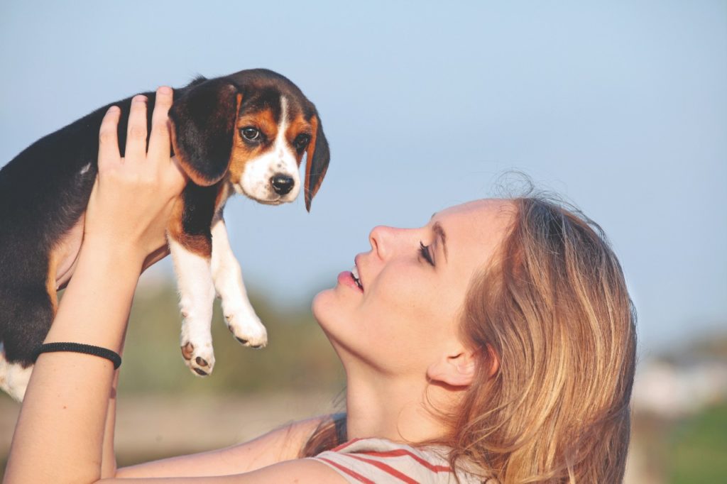 Arriva un cucciolo, siamo pronti?