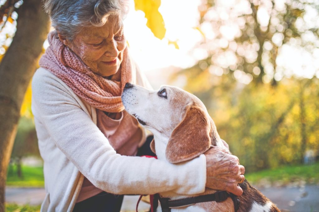 La terza età di Fido e Micio