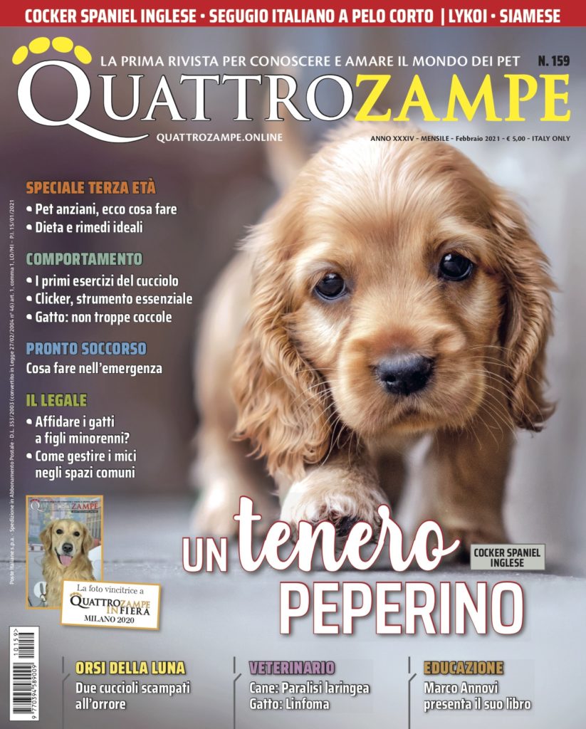 È in edicola il numero di febbraio 2021 di Quattrozampe