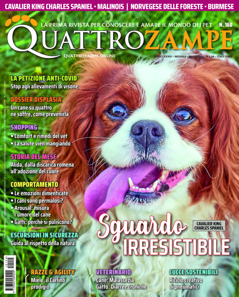 È in edicola il numero di marzo 2021 di Quattrozampe