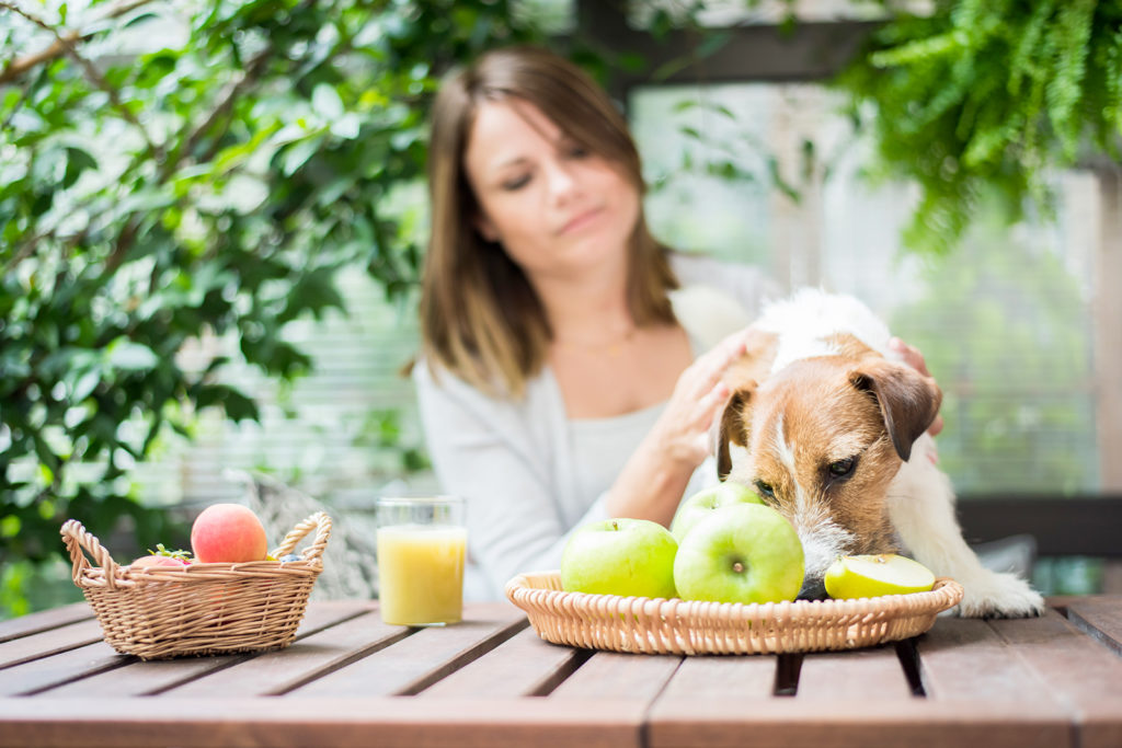 La natura offre la pappa ai nostri animali