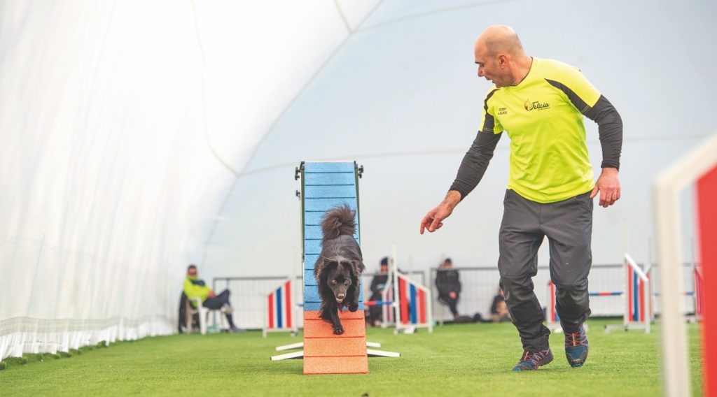 Agility terapeutica per Black