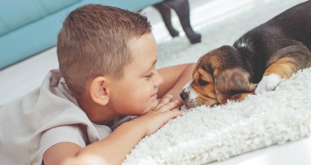 I primi esercizi del cucciolo