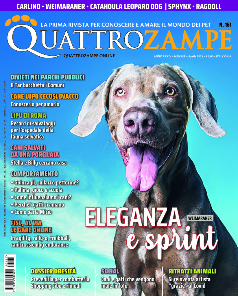 È in edicola il numero di aprile 2021 di Quattrozampe