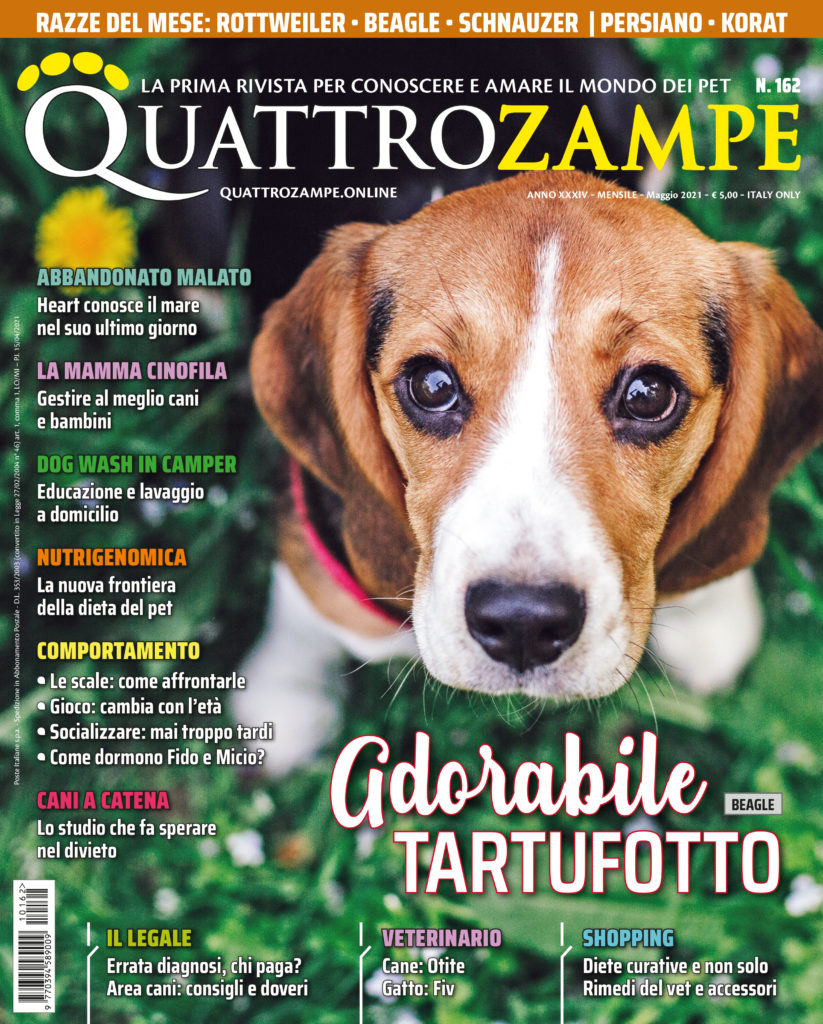 È in edicola il numero di maggio 2021 di Quattrozampe