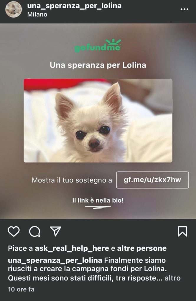 Aiutatemi a salvare la mia Lolina!