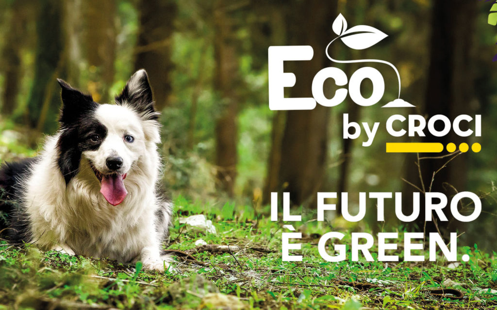 Lettiera di tofu e tappeti ecologici: idee ecofriendly per gli animali