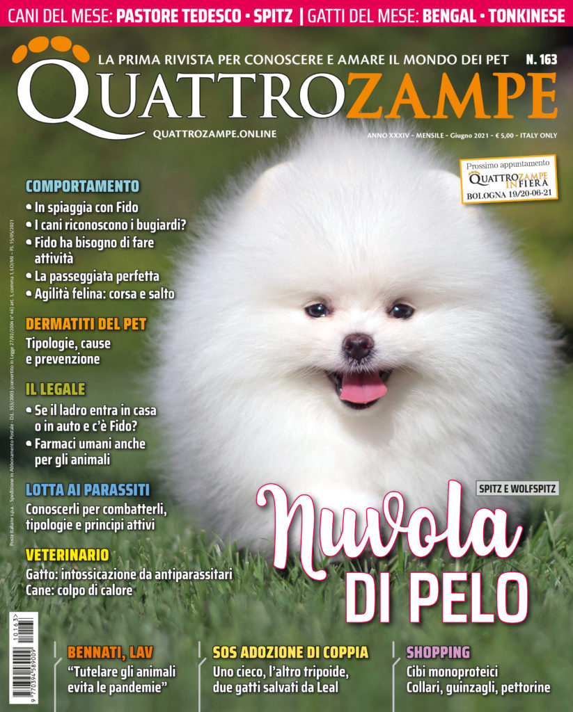 È in edicola il numero di giugno 2021 di Quattrozampe