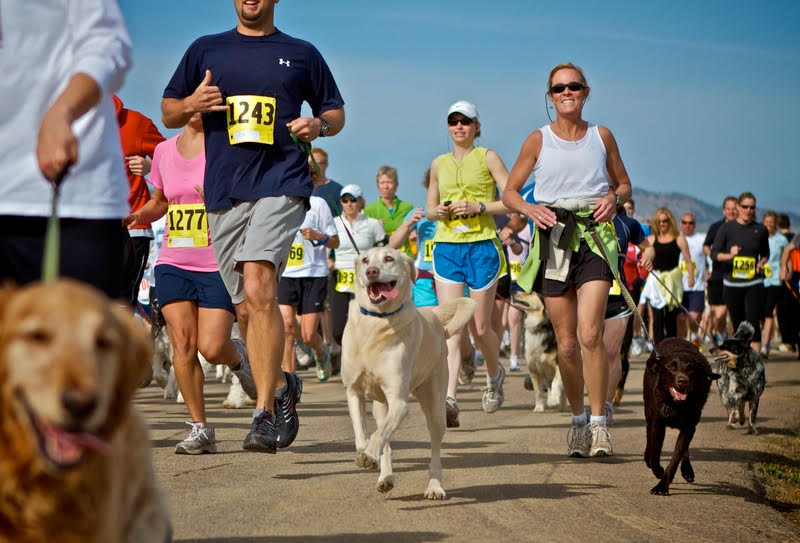 Sky del Canto 2021 e dog trail, una gara nella gara