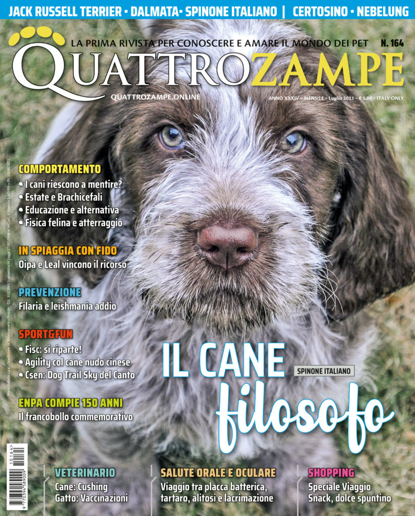 È in edicola il numero di luglio 2021 di Quattrozampe