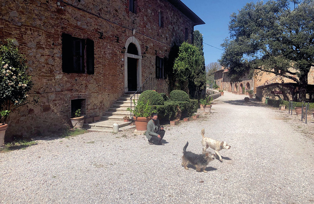 Fattoria del Colle