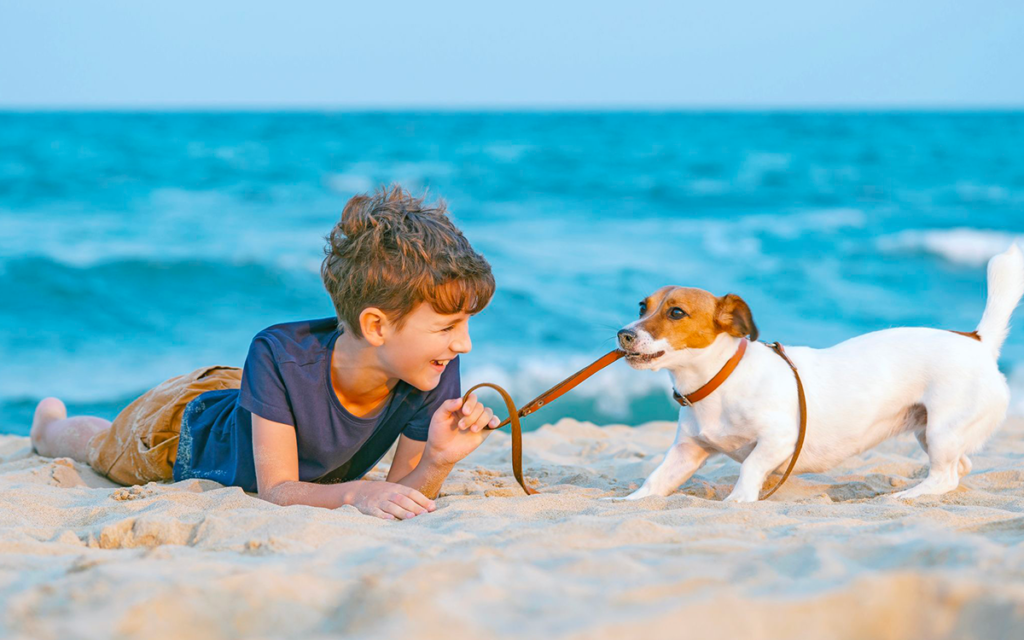 Le spiagge di Fido