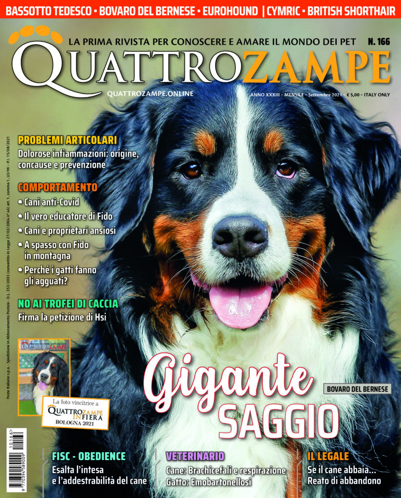 È in edicola il numero di settembre 2021 di Quattrozampe