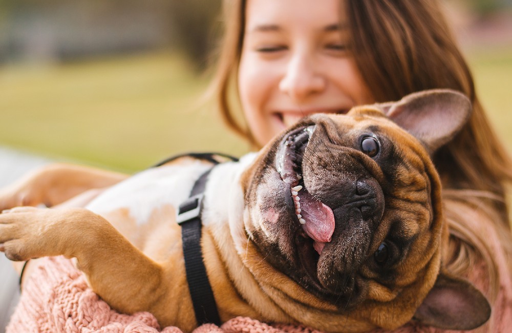 Proteggiamo il nostro animale... con la tecnologia