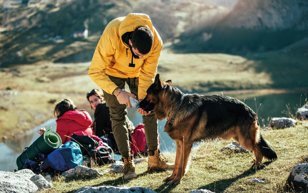 A spasso con il cane in montagna