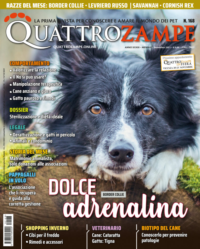 È in edicola il numero di novembre 2021 di Quattrozampe