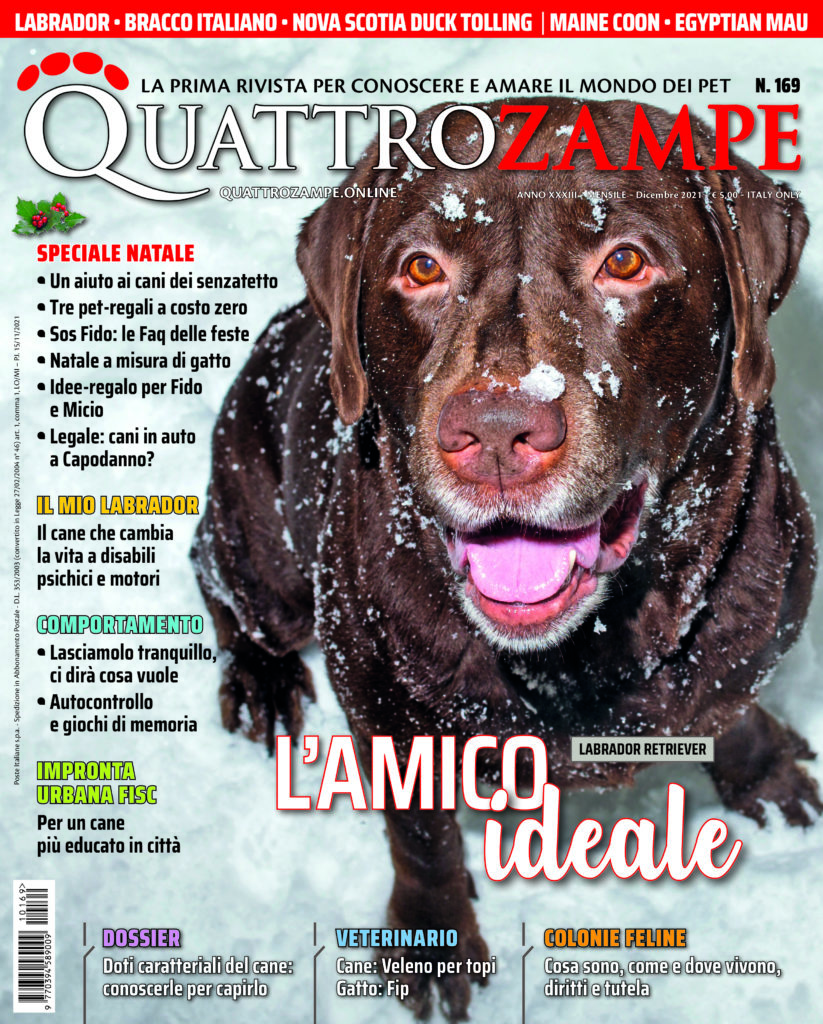 È in edicola il numero di dicembre 2021 di Quattrozampe