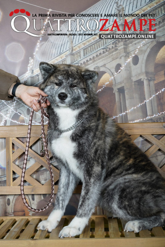 Concorso Fotografico - QuattroZampe in Fiera - Vicenza - Novembre 2021