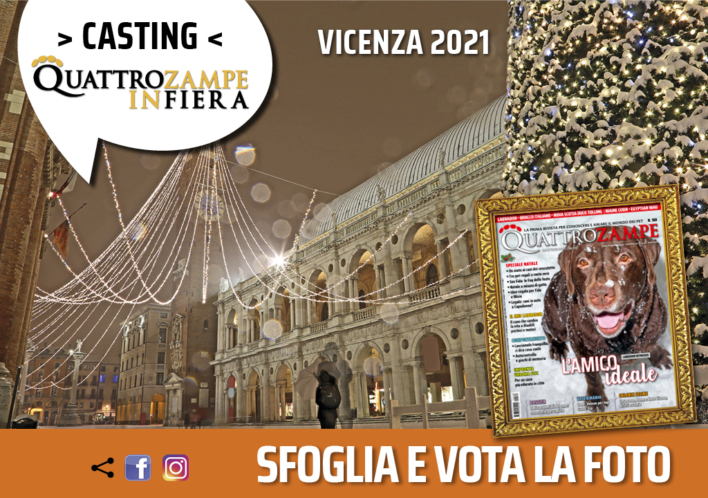 Concorso Fotografico - QuattroZampe in Fiera - Vicenza - Novembre 2021