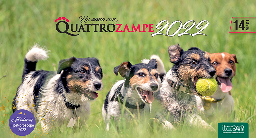 Un anno con Quattro Zampe: i calendari 2022