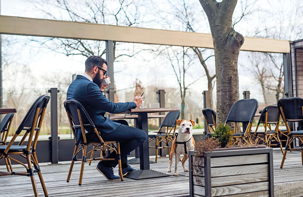 Impronta urbana per un cane più educato