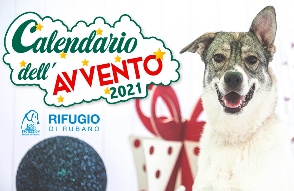 Arriva dicembre e con lui la tradizione del Calendario dell’Avvento