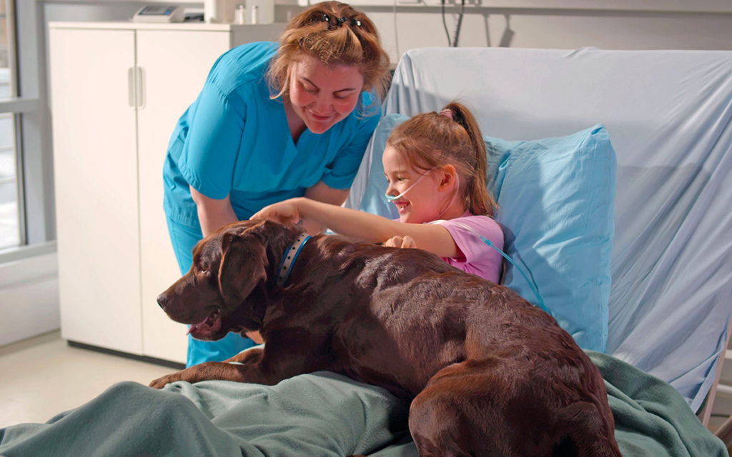 Un cane per la vita