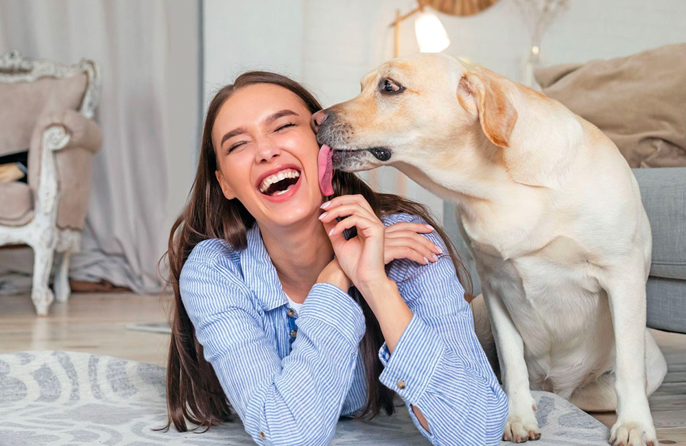 Un cane per la vita