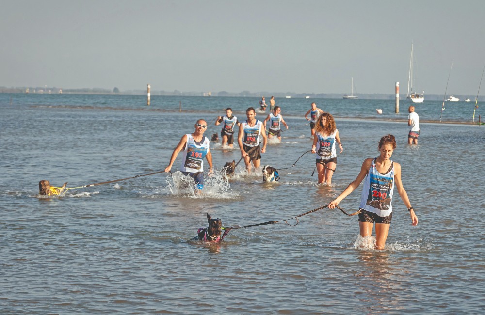 Aquaticrunner dog evoluzione anfibia