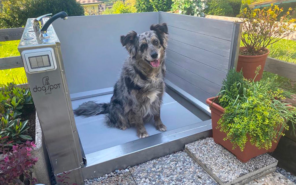 Anche i cani avranno una vera e propria “toilette”