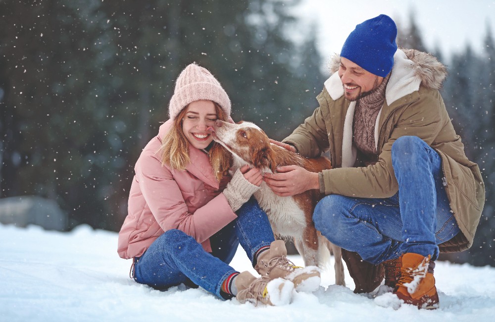 Sos freddo: Fido e l’inverno