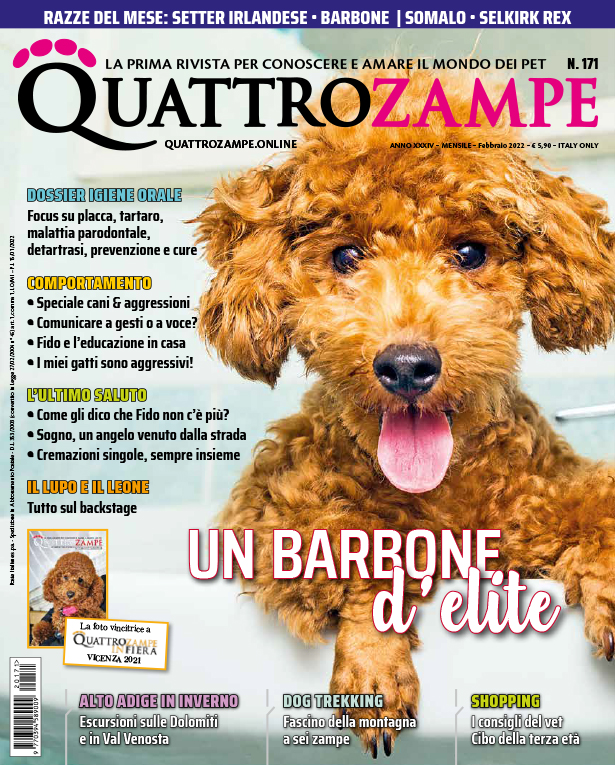 È in edicola il numero di febbraio 2022 di Quattrozampe