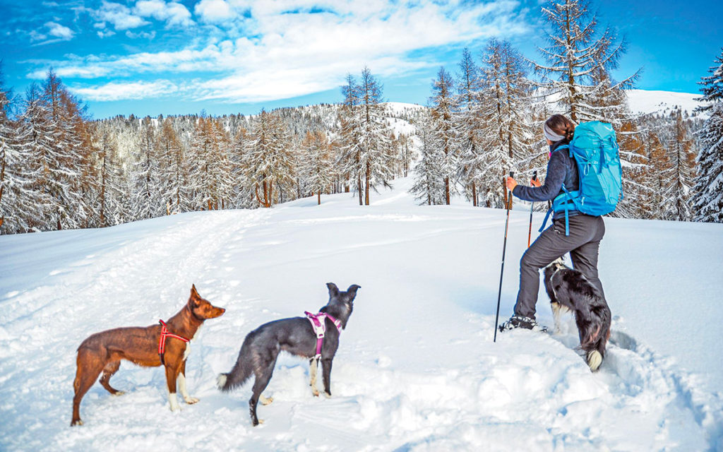 Alto Adige in inverno paradiso sportivo