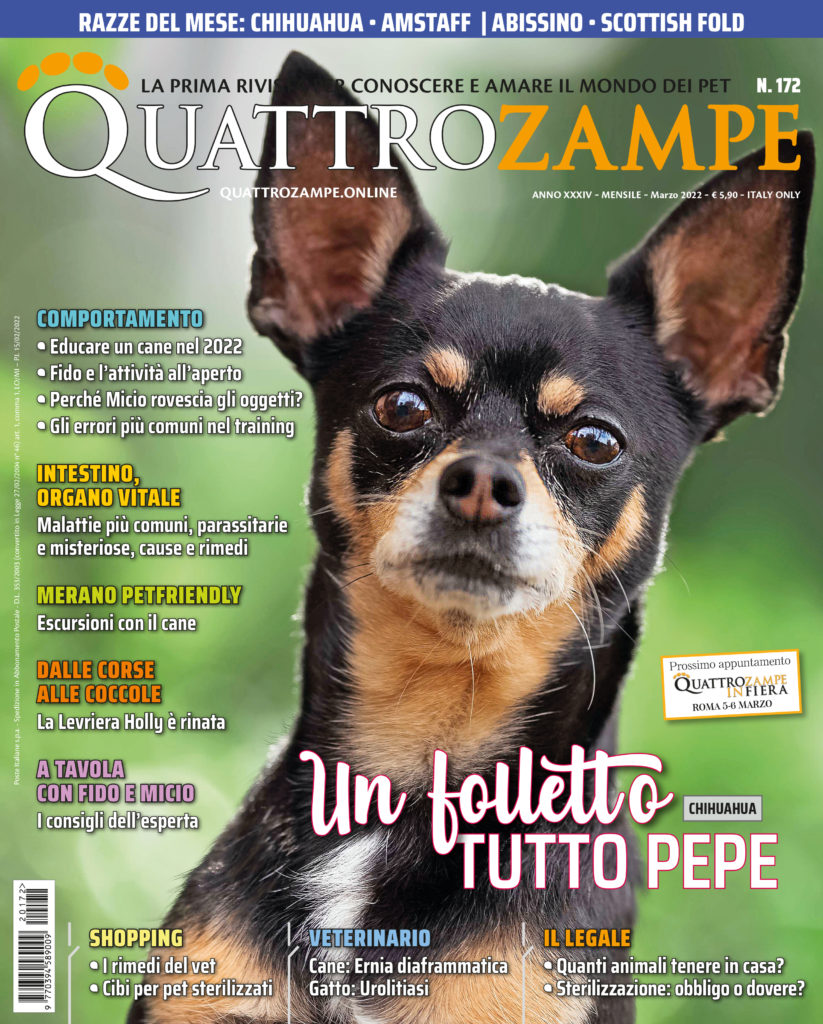 È in edicola il numero di marzo 2022 di Quattrozampe