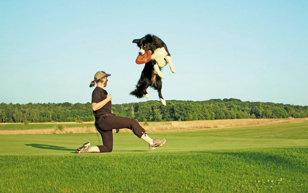 A tutto sport! Fido e l'attività all'aperto