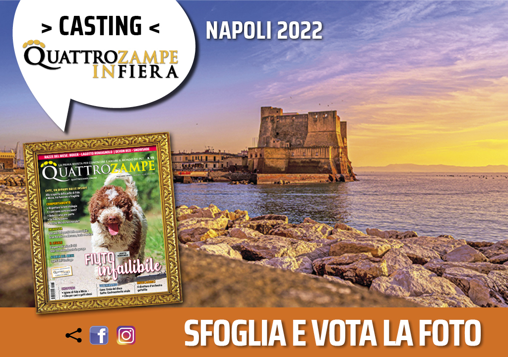 Concorso Fotografico - QuattroZampe in Fiera - Napoli - Aprile 2022
