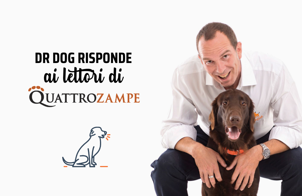 Perché il mio cane ulula quando canto?