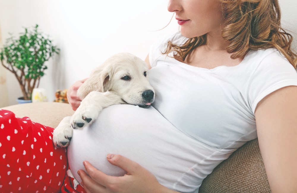 Il corso pre-parto …visto dagli occhi del cane